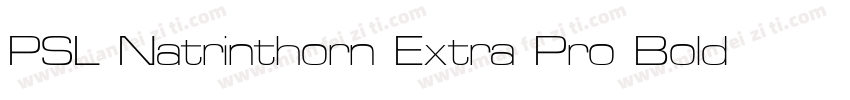 PSL Natrinthorn Extra Pro Bold Ital字体转换